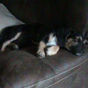 Meet your Posher, Jerry